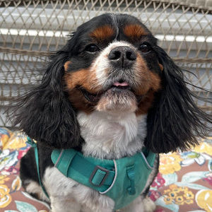 Meet your Posher, Yulia